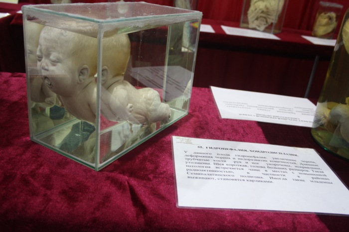 Псков: Петербургская Кунсткамера у нас в гостях. СТРОГО 18 +