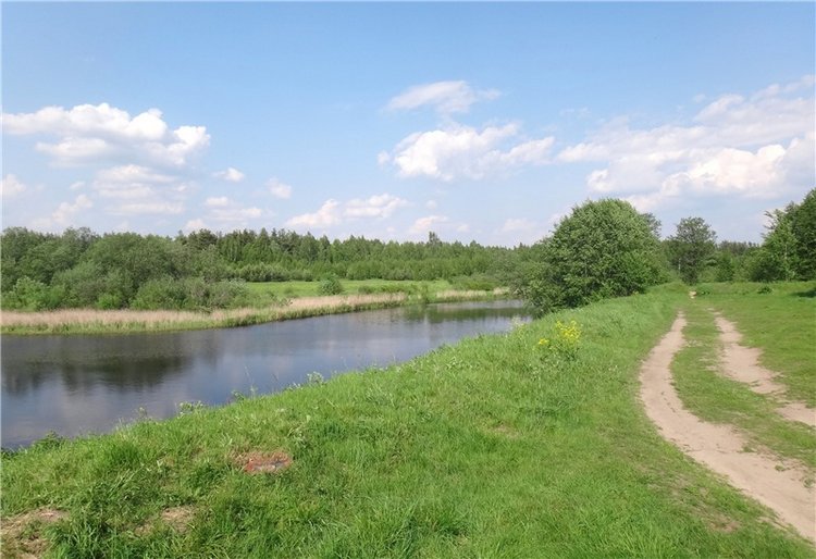 Ландышевая Сказка — Куклы Heidi Plusczok (Хайди/Хейди Плюсчок) — фото (фото 7)