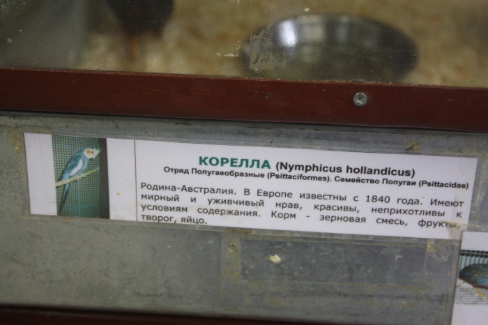 Псков. Эколого-биологический центр. Часть 2 (фото 3)