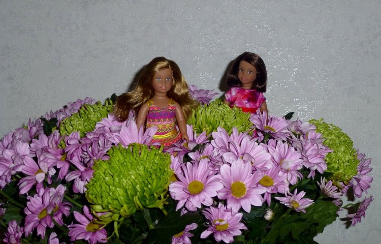 Моя новая девочка Лусиана (Luciana) от mini american girl (фото 7)