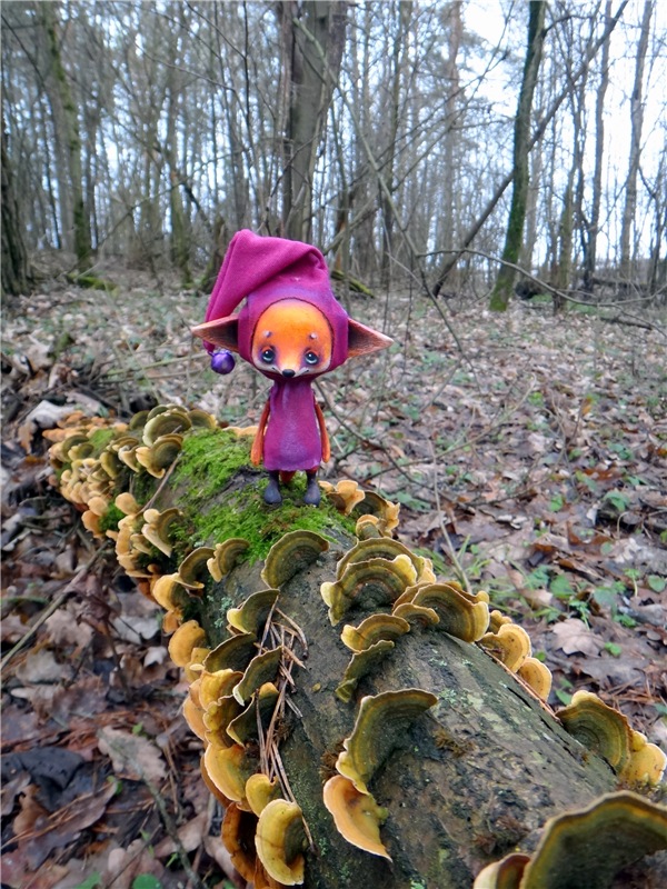 23 февраля - расцвели синие подснежники