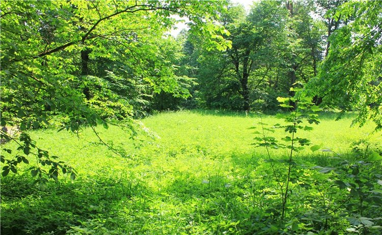 "Троицкие гуляния" в Василёво, 2019 год, заключительная часть. Архитектурно-этнографический музей под открытым небом Василёво