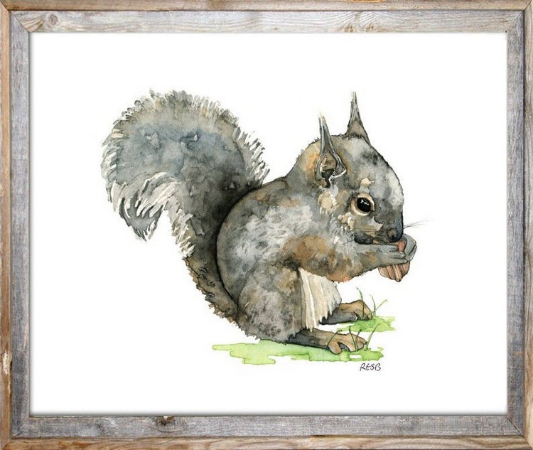 TheColorfulCatStudio - Иллюстрированная фауна by Rachel Byler