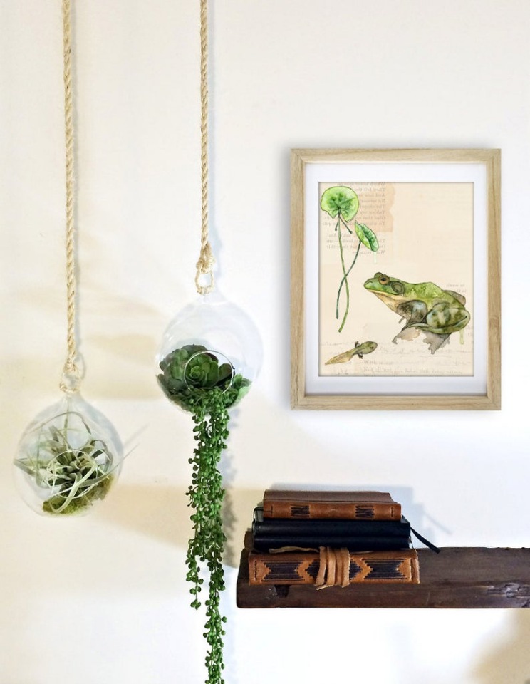 TheColorfulCatStudio - Иллюстрированная фауна by Rachel Byler