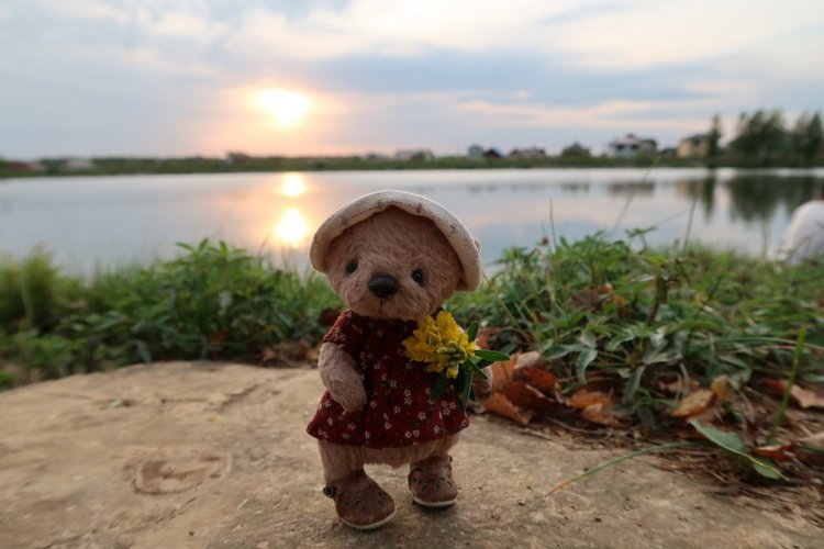 Знакомьтесь, новый вид медведей - медведь сумочный (фото 9)