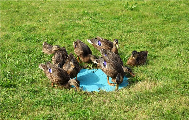 Сентябрьское путешествие в Старицу. Старицкий Свято-Успенский Монастырь