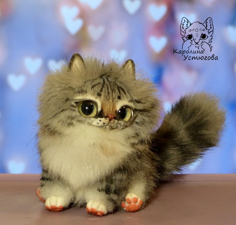 Котята Сибирской породы Табби и Мраморный биколор (фото 9)