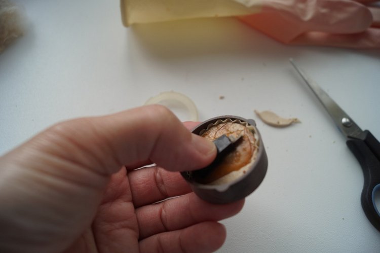 Первомайская выписка: чистка содой, ремонт пищалки, сшит Баварский костюм и реанимация брошенок