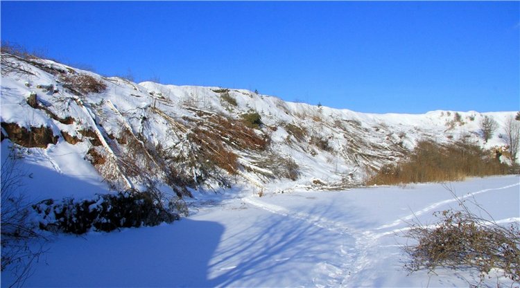Зимняя прогулка Сони. Уникальная кукла от Сильвии Наттерер
