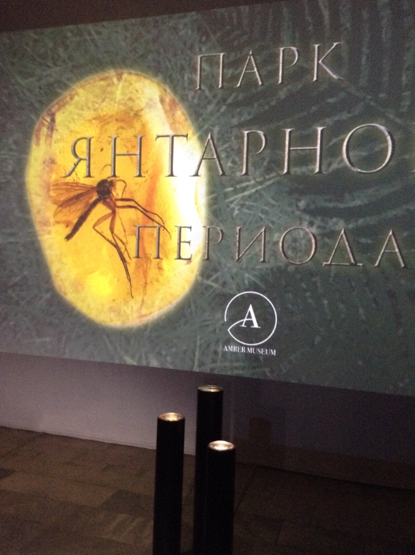 Милая сердцу Божедомка. Ч.5. Выставка "Парк янтарного периода". "Слезы Гелиад". "Янтарь и куклы"