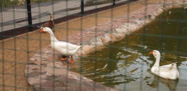 Как мы побывали в Некотором царстве ... с Mui-chan (фото 8)