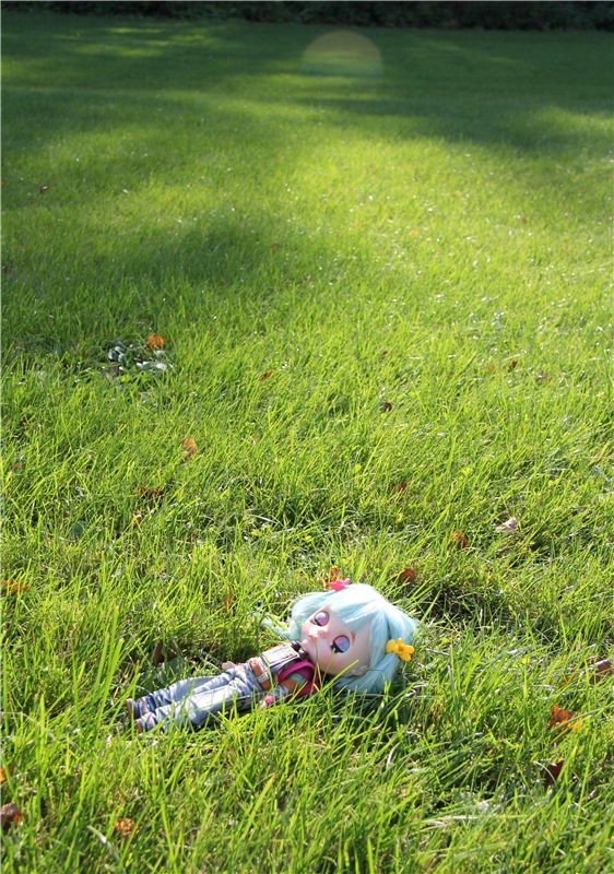 Нийя. Воспоминание об осени, Чукавино, Эко-Лэнд