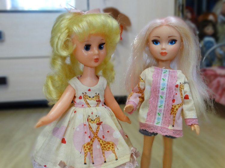 Ивановские Золушки-Василисы (фото 3)