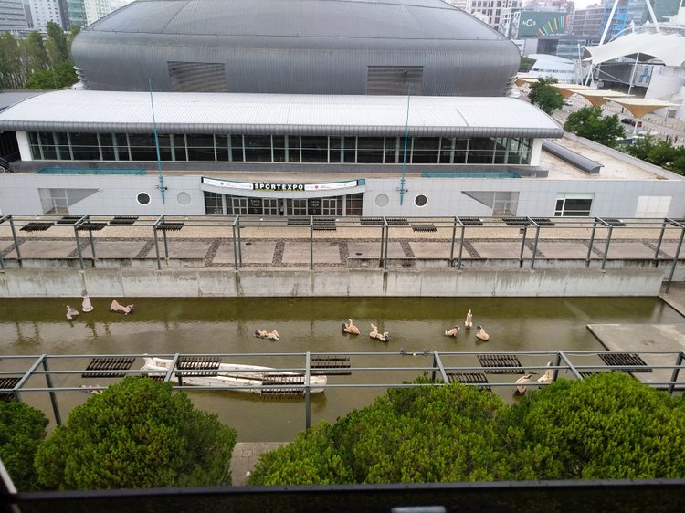 Тайна моего имени. Часть десятая. Португалия, Лиссабон. От Лесли просто нет житья