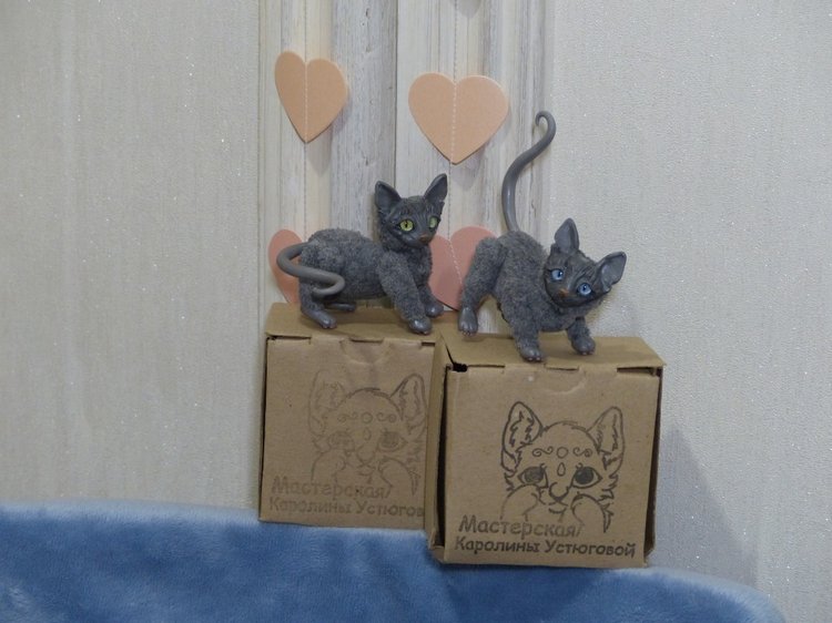 Сборы котиков в путь. Котики-призы конкурсов (фото 2)