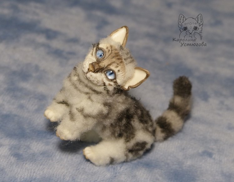 Бенгальская кошка, серебристая