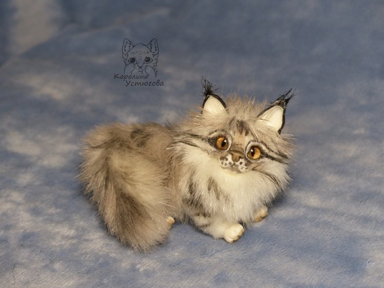 Мейн-ку́н, миниатюра. Серебристый окрас