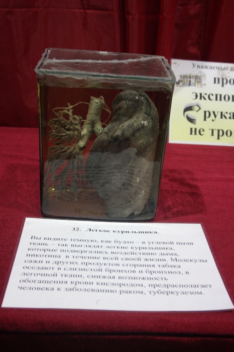 Псков: Петербургская Кунсткамера у нас в гостях. СТРОГО 18 + (фото 10)