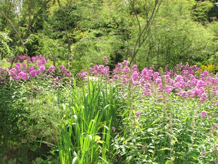 Малышня на прогулке в Бирюлёвском дендропарке