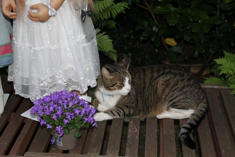 Две сестрички, две Лилит — Куклы Annette Himstedt (Аннетт Химстедт): коллекционные