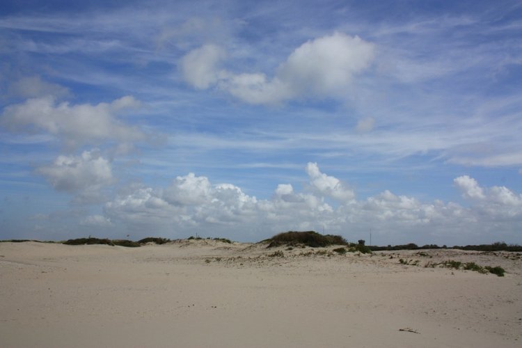 Мисс Бэйбики 2019. Ночная фотосессия в купальнике - часть первая | Бэйбики Мисс Бэйбики 2019. Ночная фотосессия в купальнике - часть первая