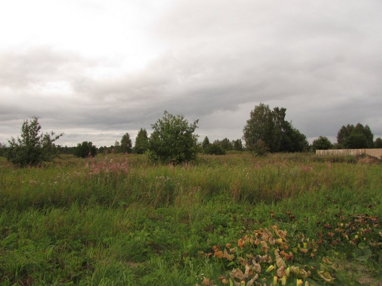 Путешествие в Нижегородскую область - часть 3 - Тимошка на усадьбе