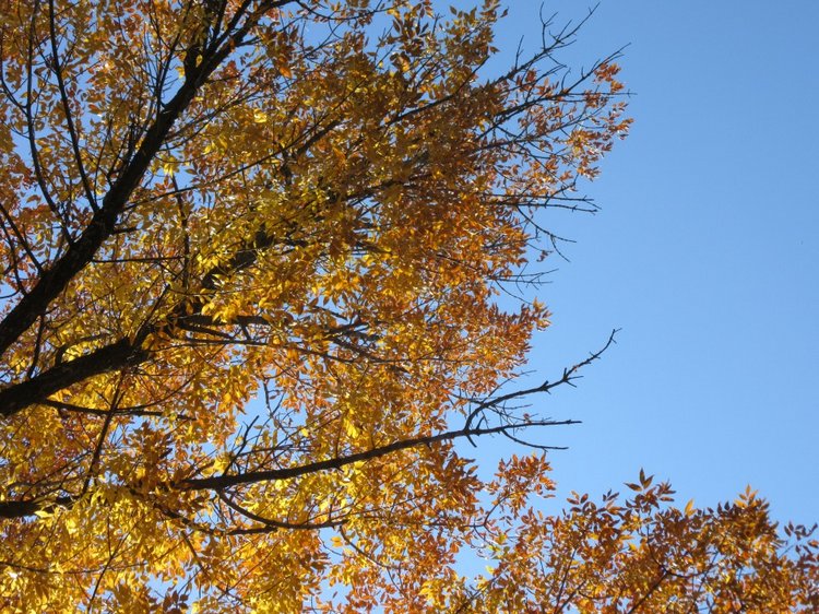 Выходной с Хеленой в Таганроге