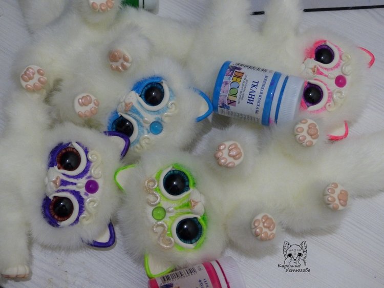 Королевские волшебные коты, породы: Мирис. В кадре и за кадром. Процесс