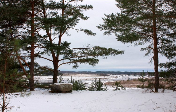 Бейли и Дий. Mini Bailey SK от Meadow dolls