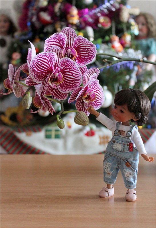 Кирра и "Медовые" девчата. Kyrra Fair Meadow doll