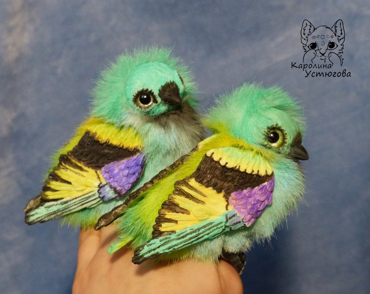 Зеленоголовая танагра, чудо птичка