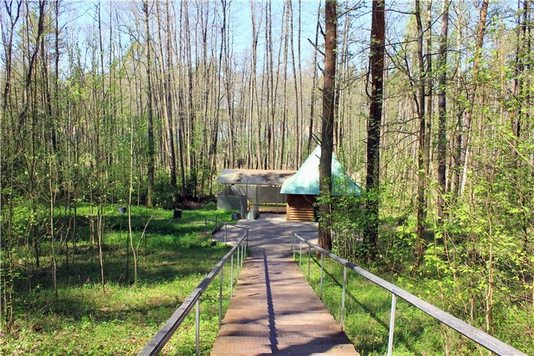 Путешествие Софи в Старицу. Lati HoneyBee New Mystic Sophie