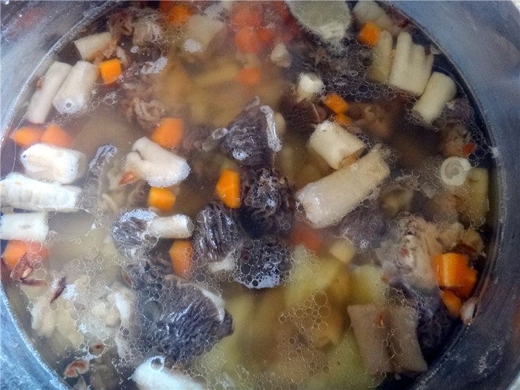 Путешествие Софи в Старицу. Lati HoneyBee New Mystic Sophie