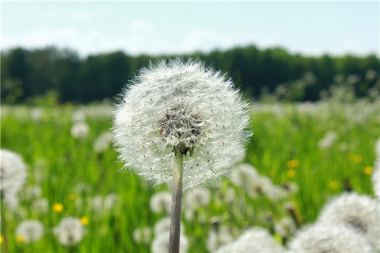 Из Чукавино в Старицу — Культура (фото 8)