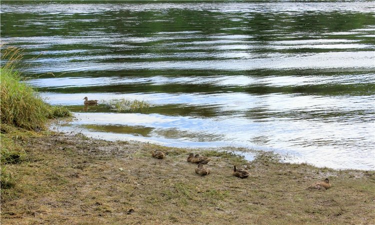 Июльское путешествие в Старицу