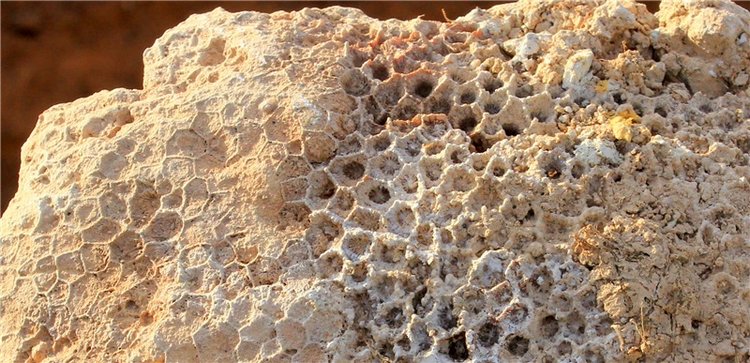 Сентябрьское путешествие в Старицу, продолжение