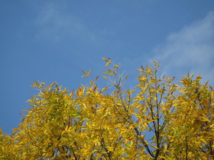 Осенняя пора в Ростове-на-Дону