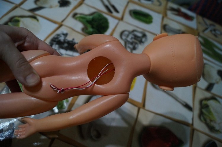 Субботняя традиция - выписывать кукол из лечебницы (фото 9)