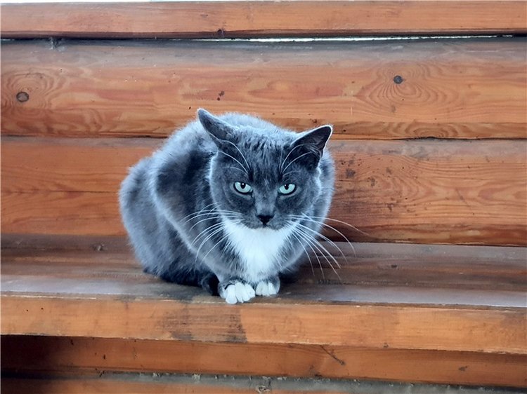 Путешествие по Святым местам Тверской области, продолжение