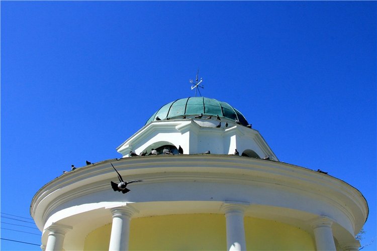 Одуванчиковая нежность, прогулка по Торжку