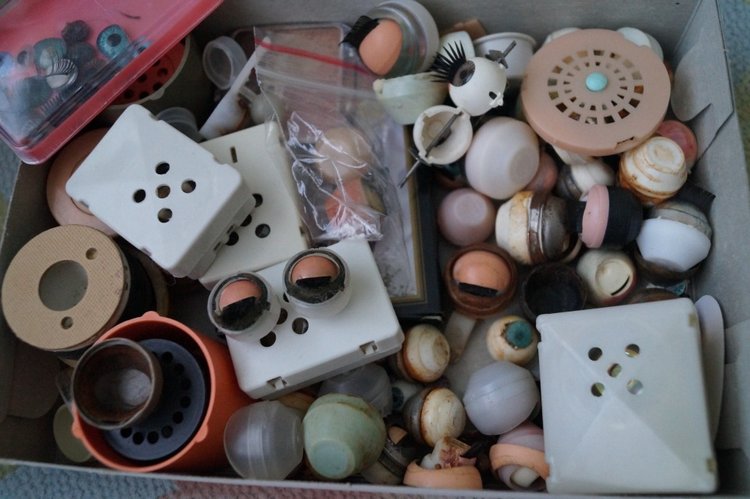 Вторая выписка февраля, санаторно-курортная. ГДРочка обрела глазки. Барбарик выздоровел