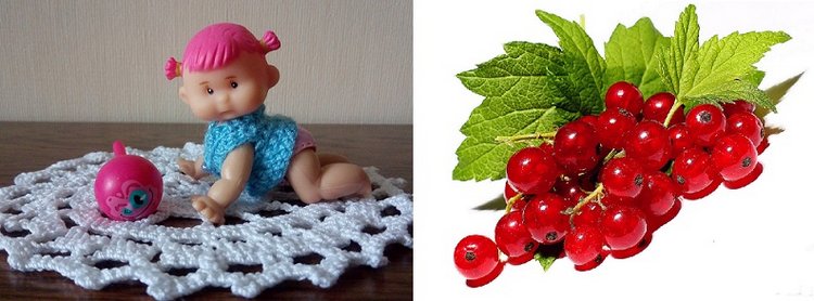 Фруктовая компания — Коллекции мини