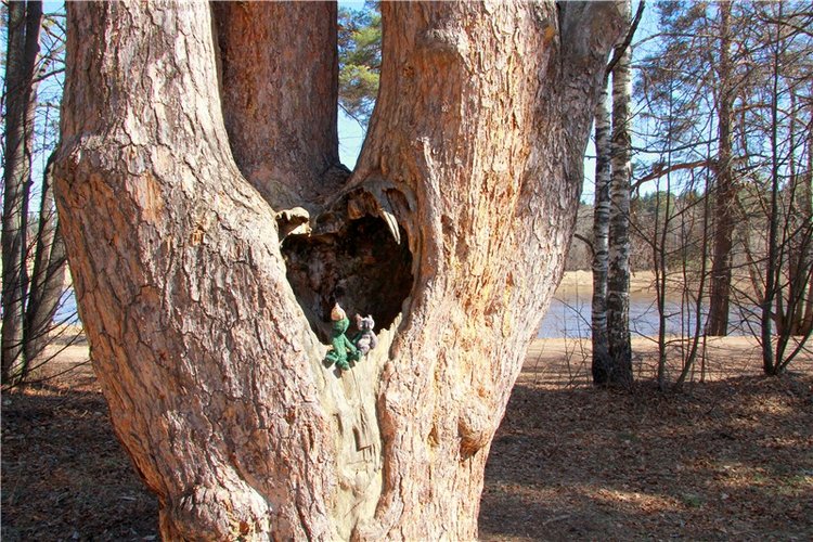 Апрельский день в Василёво