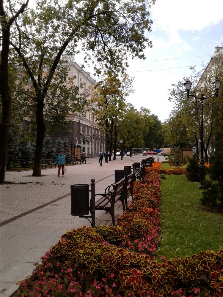 Последний месяц лета. Мой Псков. Аурика