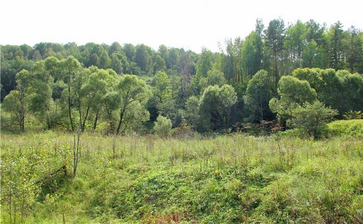 Старицкая Швейцария. Путешествие с Сашей, продолжение. Уникальная кукла от Сильвии Наттерер