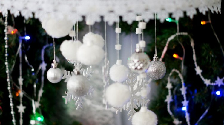 Белоснежный Новый Год — Другие хобби и увлечения: сад