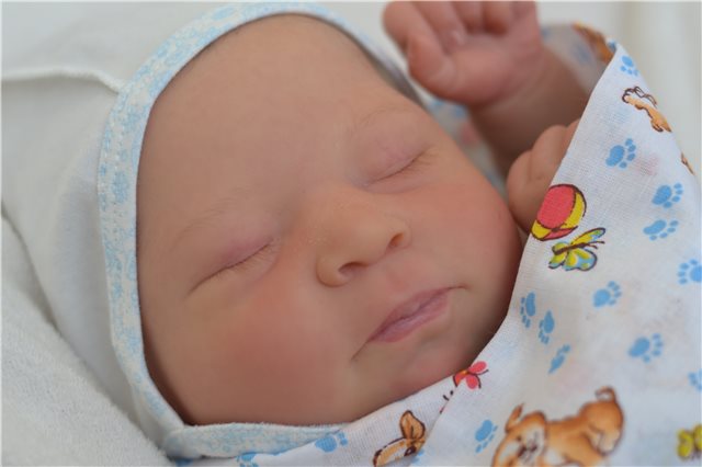 Мои новорожденные малыши. Кукла реборн | Бэйбики Мои новорожденные малыши. Кукла реборн