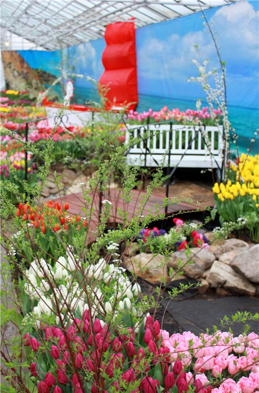 Тюльпановый Рай, продолжение. Выставка тюльпанов в Твери. Mini Layla elf Sunkissed skin от Kaye Wiggs