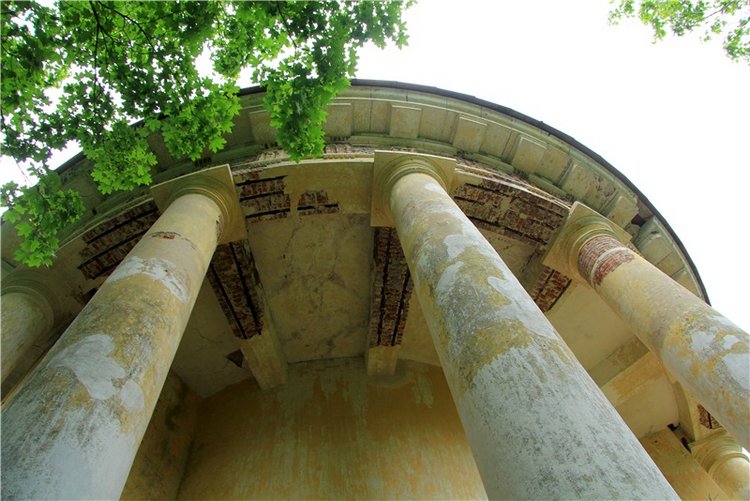 Путешествие с Бенни — Культура