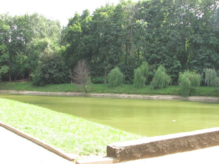 Малышня на прогулке в Бирюлёвском дендропарке